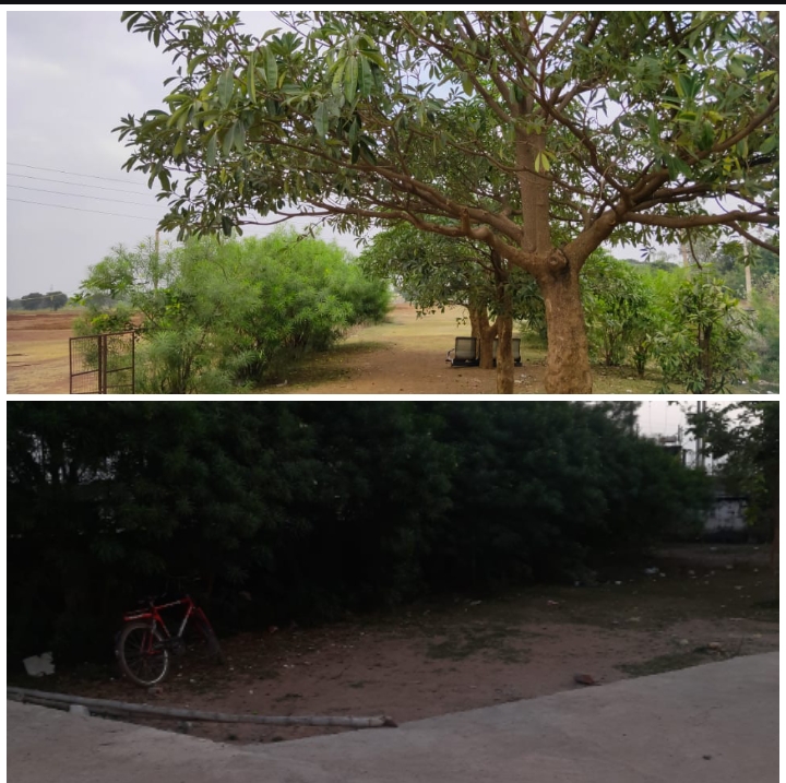 green clean campus-Shahid Durwasa Nishad Government College Arjunda District Balod, C.G.
