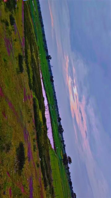 Photo Gallery